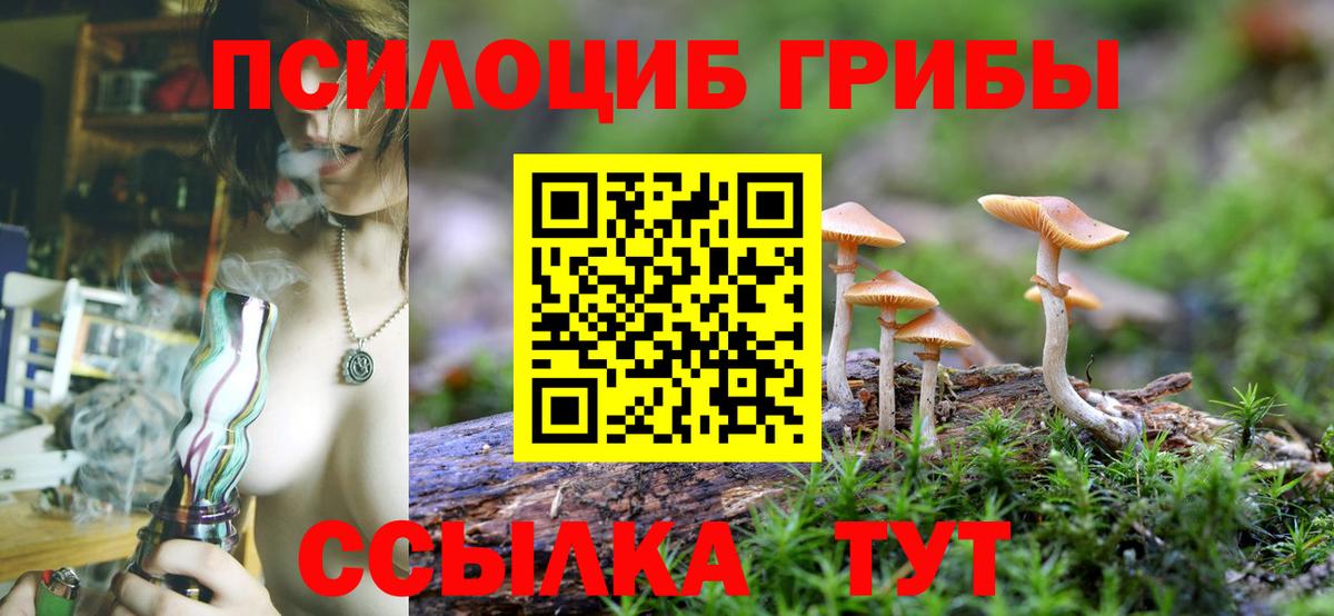 Псилоцибиновые грибы прущие грибы  сколько стоит  Минеральные Воды  Вход с VPN 